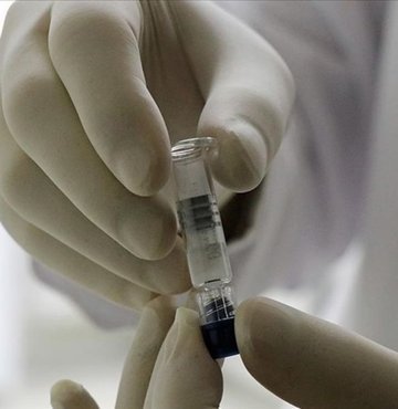 ABD’de bir grup araştırmacı, burun yoluyla uygulanan yeni tip koronavirüs (Covid-19) aşısının etkili bağışıklık ve sıfır virüs yayılımı gösterdiği sonucuna ulaştı