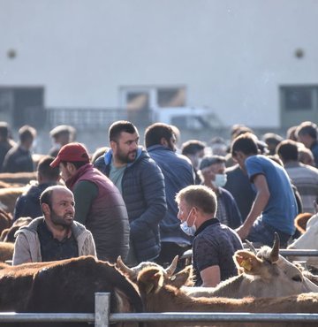 Sağlık Bakanlığı, Kurban Bayramı