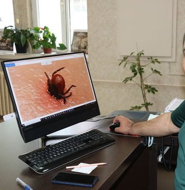 Sivas Cumhuriyet Üniversitesi Tıp Fakültesi Dekanı Prof. Dr. İlhan Çetin, "Çok dikkat etmek lazım, son iki yıldır tabiattaki kene sayısında çok ciddi bir artış var" dedi