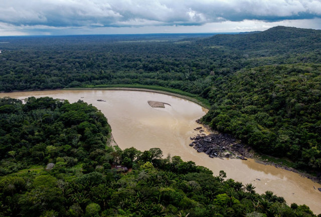 Yağmur ormanları hakkında bilinmesi gereken gerçekler