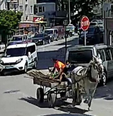 Bursa