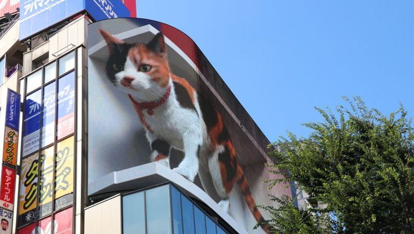 3D kedi şehri izliyor, halkı selamlıyor
