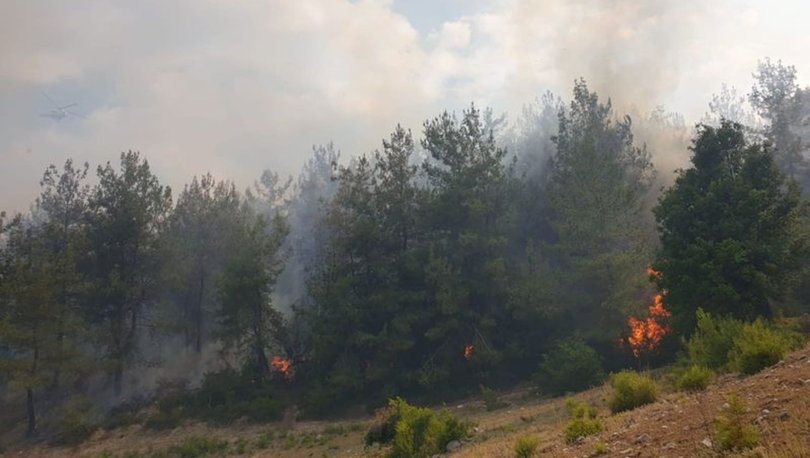 Osmaniye’de orman yangınını kontrol altına alma çalışmaları sürüyor