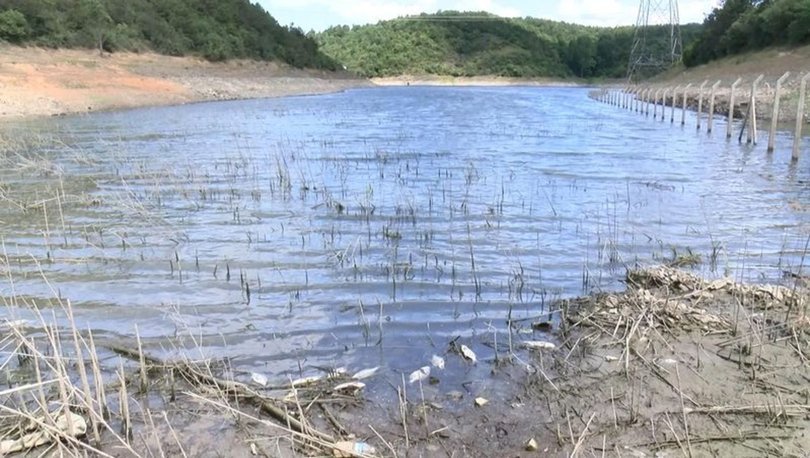 KORKUTAN MANZARA! Son dakika: Alibeyköy Barajı'nda onlarca ölü balık kıyıya vurdu - Haberler