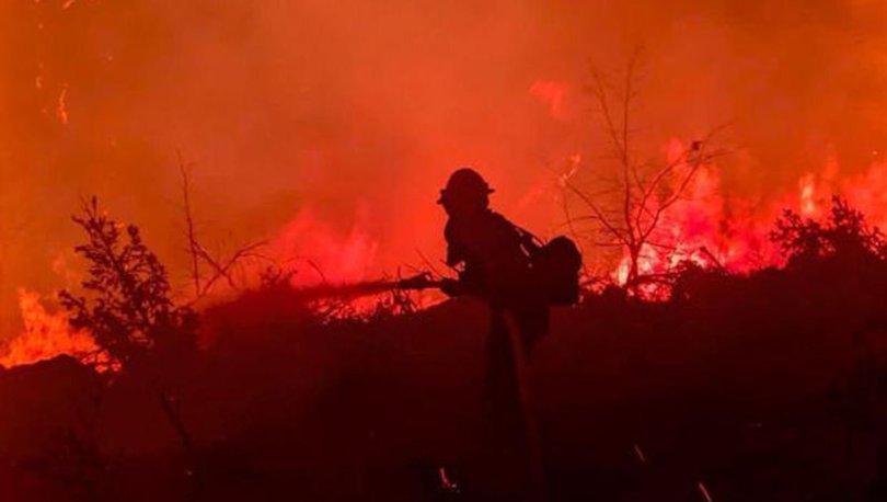 Son dakika: Kaliforniya'da orman yangını evleri küle çevirdi