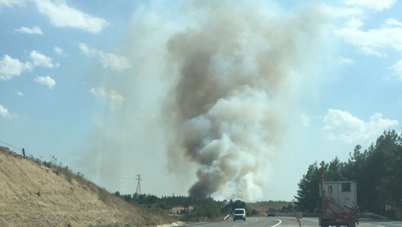 Adana'da korkutan orman yangını! - Haberler