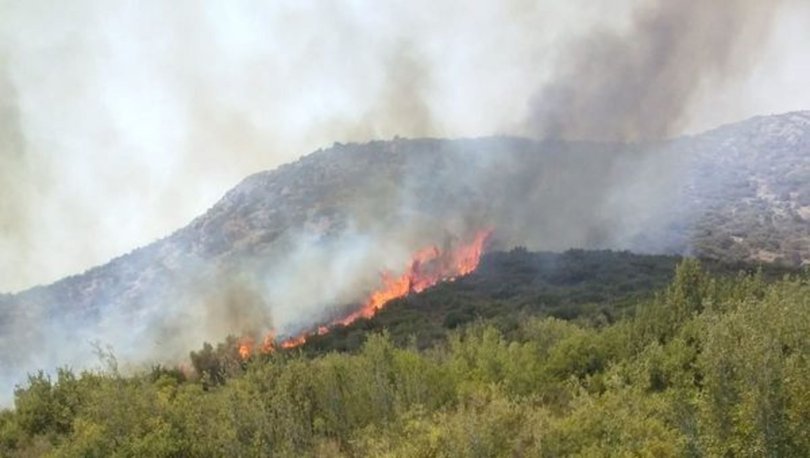 SON DAKİKA HABERİ! Ceyhan'daki yangına müdahale sürüyor