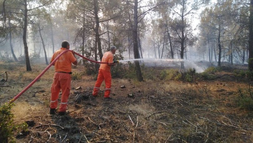 SON DAKİKA! Kilis'te orman yangını