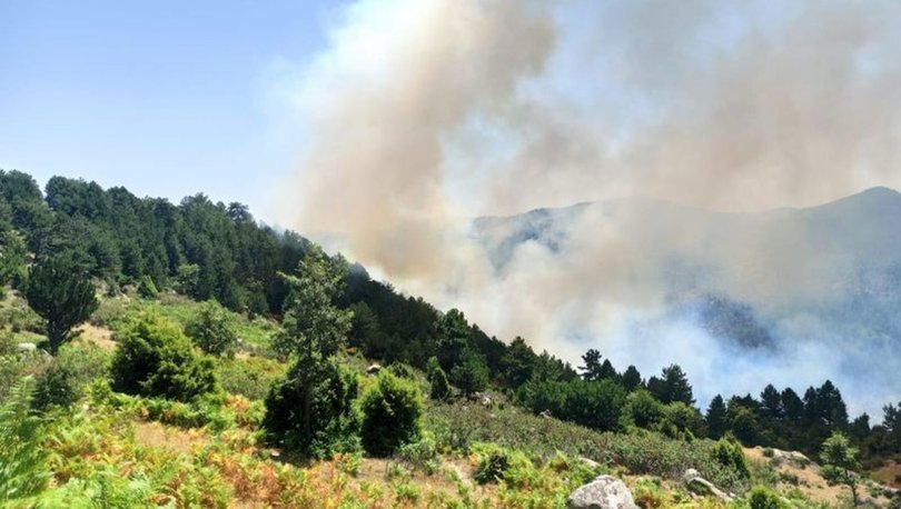 YANIYOR! Son Dakika: Kütahya'da orman yangını çıktı