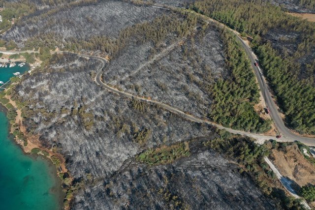 PİNA YARIMADASI SİYAHA BÜRÜNDÜ! Milas'ta çıkan yangında ormanlık arazi havadan görüntülendi - Haberler