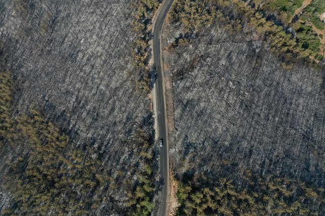 PİNA YARIMADASI SİYAHA BÜRÜNDÜ! Milas'ta çıkan yangında ormanlık arazi havadan görüntülendi - Haberler