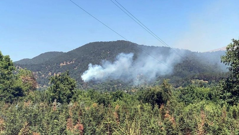 Son dakika: İzmir Ödemiş'te orman yangını