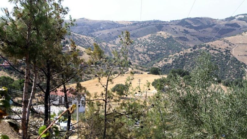 Kula'da zamanında müdahale, orman yangınının büyümesini önledi