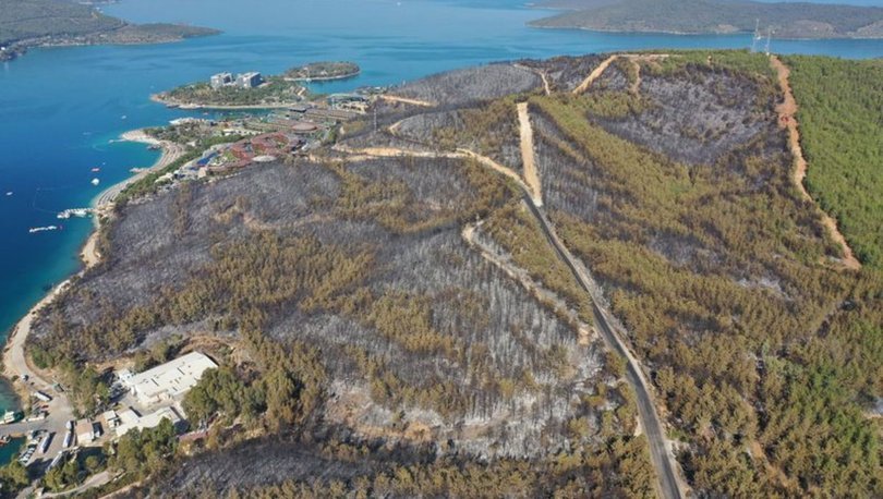 İş dünyasından orman yangınları ile mücadeleye destek - haberler