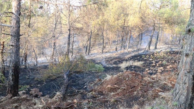 Kilis'te ormanlık alanlara girişler 30 Eylüle kadar yasaklandı