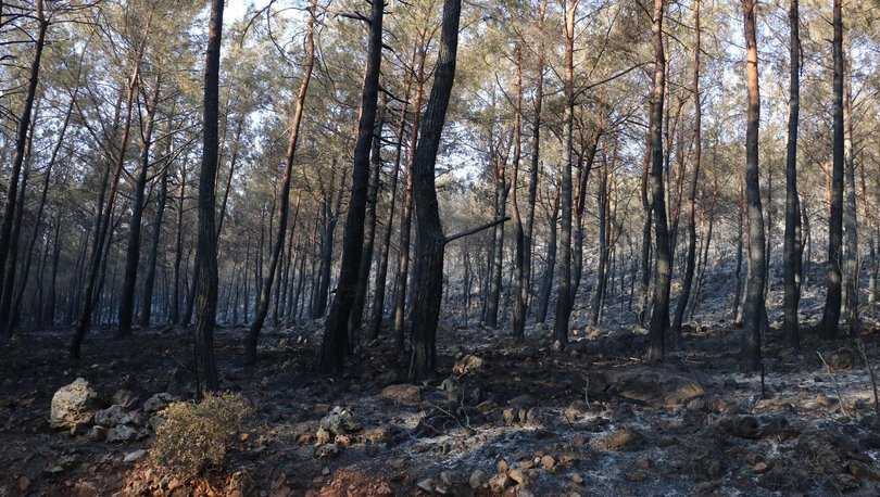 ACI TABLO! Son dakika: Fethiye'deki alevler, 5 hektar ormanlık alanı küle çevirdi - Haberler