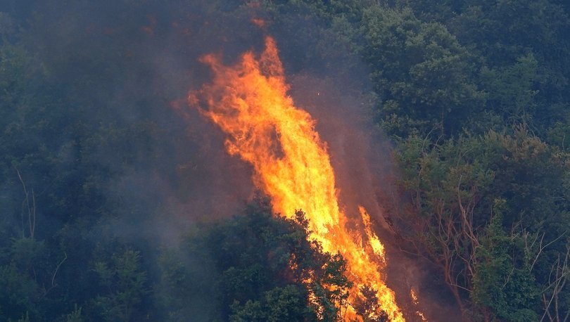 Nello Musumeci: Yangınlarda ortaya çıkan yıkım gerçekten ciddi boyutta