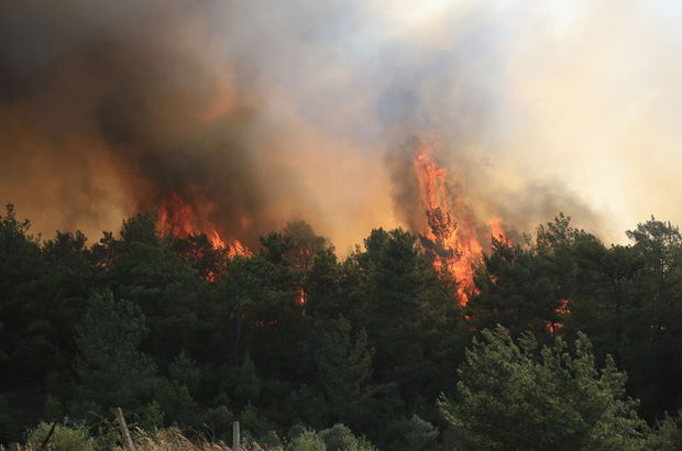 Milas'taki yangın büyüyor: Bodrum'a sıçradı!