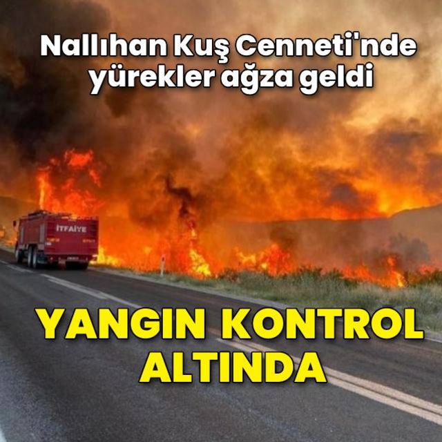 Nallıhan Kuş Cennetindeki yangın kontrol altında