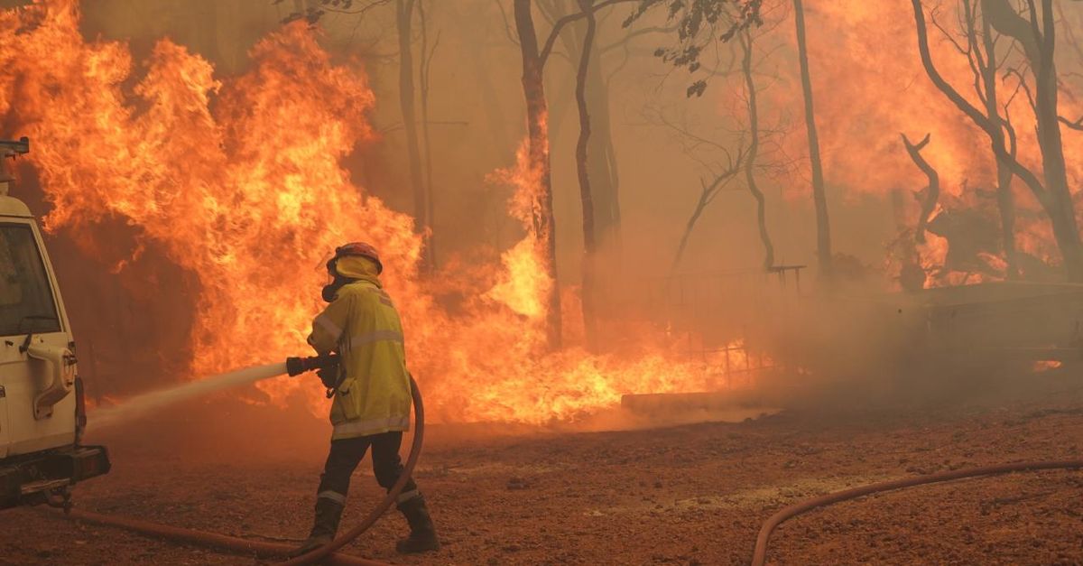 Gli incendi boschivi hanno conquistato il mondo!  Australia, Grecia, Spagna, Italia…