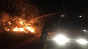 MSB: 400'den fazla Mehmetçik alevlere müdahale ediyor