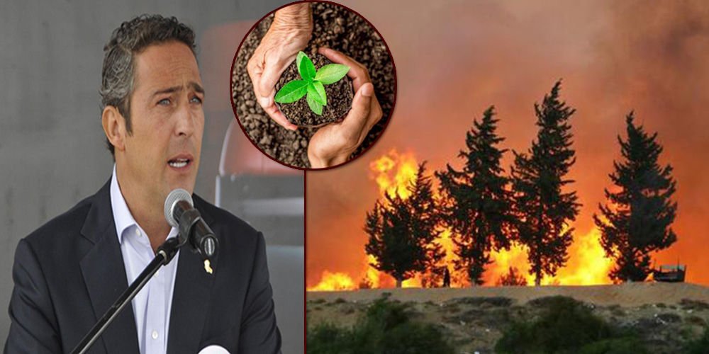 Ormanlarımız yeşerecek!