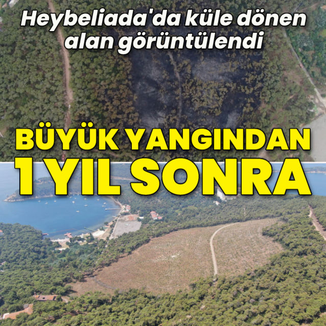 Heybeliada'da küle dönen alan görüntülendi