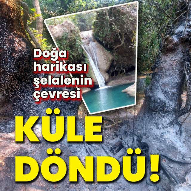 Doğa harikası şelalenin çevresi küle döndü
