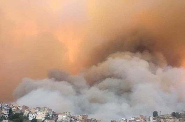 Cezayir'de orman yangını: 4 ölü!