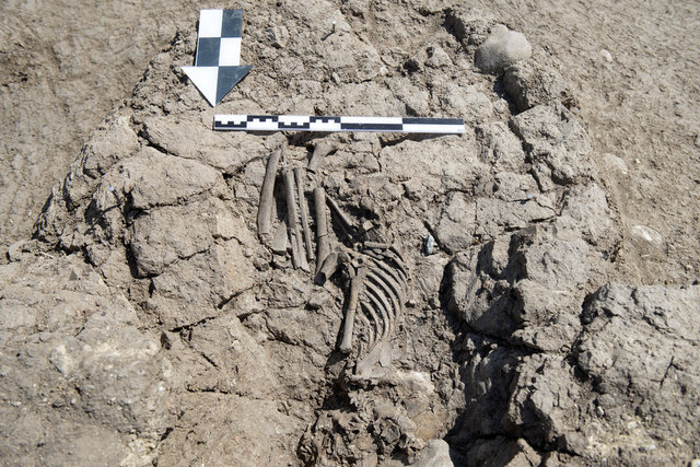 Kurtarma kazısında bulundu... Hemen korumaya alındı! - Haberler