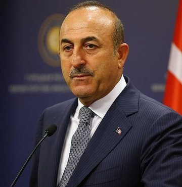 Dışişleri Bakanı Mevlüt Çavuşoğlu, Türkiye
