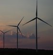 Yenilenebilir enerji kaynaklarına dayalı üretim lisansı sahibi tüzel kişiler, lisans bazında, bir sonraki takvim yılında Yenilenebilir Enerji Kaynakları Destekleme Mekanizması