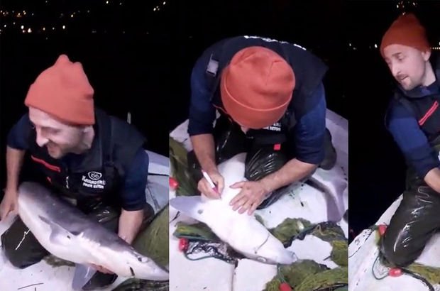 Trabzonlu balıkçının köpekbalığıyla diyaloğu interneti salladı