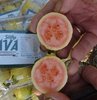 Mersin’in Silifke ilçesinde anavatanı Güney Amerika ve Hindistan olan ve "meyvelerin kralı ve kraliçesi" olarak adlandırılan vitamin ve mineraller yönünden zengin guava meyvesinin hasadına başlandı.
