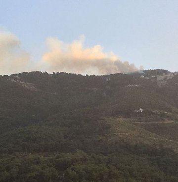 Hatay'da orman yangını