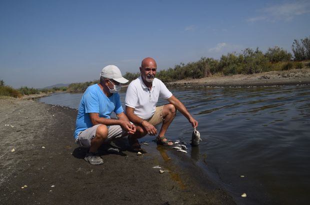 İzmir'deki balık ölümleri için inceleme başlatıldı