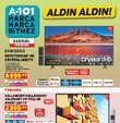 3198849 kutu