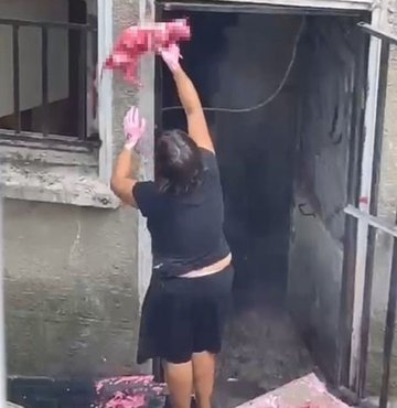 Şok! Şişli'de ölü kediyi boyayıp pencereye astı!