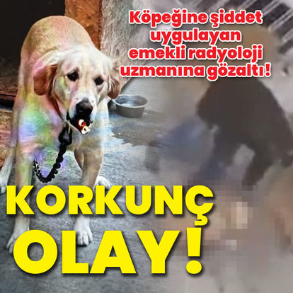 Pinar Gultekin Davasinda Kritik Durusma Haberler Son Dakika Haberleri Pinar Gultekin Davasinda Kritik Durusma Haberler Son Dakika Haberleri