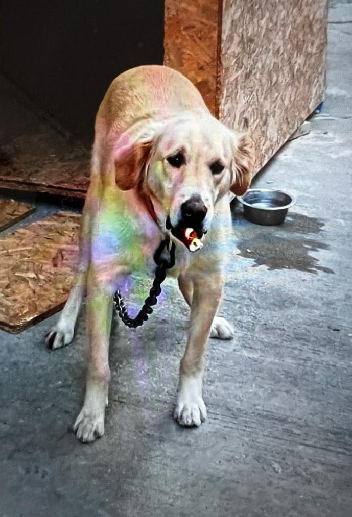 Pinar Gultekin Davasinda Kritik Durusma Haberler Son Dakika Haberleri Pinar Gultekin Davasinda Kritik Durusma Haberler Son Dakika Haberleri