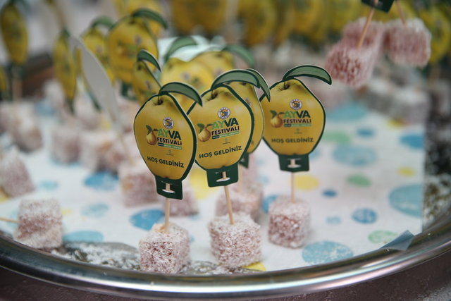 7. Geyve Ayva Festivali (9-10 Ekim)