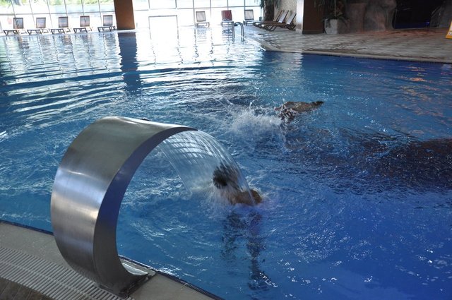 AFYON KÜTAHYA KAPLICALAR