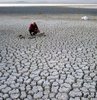Kuraklıkla ilgili bir acı tablo daha ortaya çıktı. Bitlis