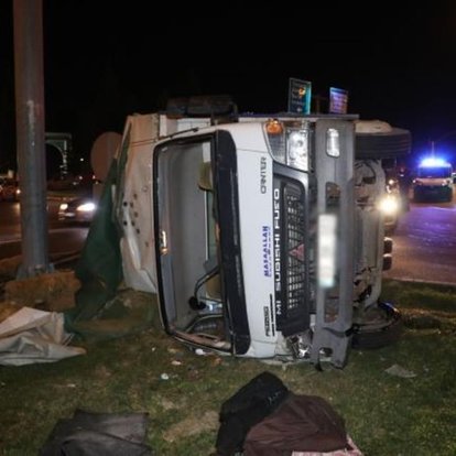 Kütahya'da devrilen kamyonetteki 15 koyun öldü, 1 kişi yaralandı