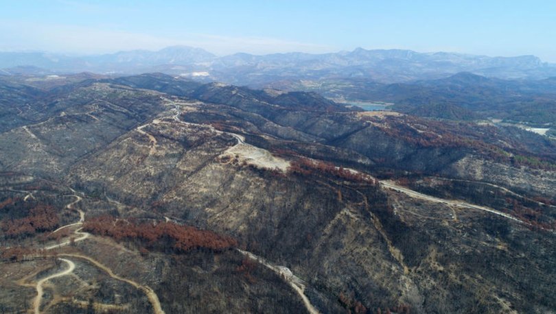 SON DAKİKA: BAE'den Türkiye'ye orman yangınları ve selden etkilenen bölgeler için destek