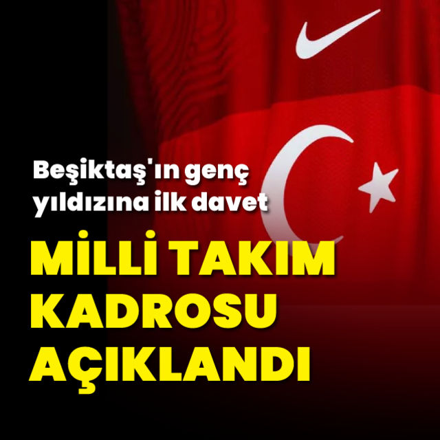 A Milli Takımın aday kadrosu belli oldu!