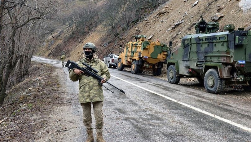 PKK terör örgütüne mensup iki kişi ikna yoluyla güvenlik güçlerine teslim oldu