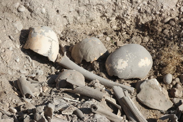 Van'da Demir Çağı'na ait insan kemikleri bulundu