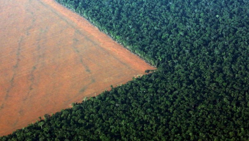 Amazonlar'da ormansızlaşma son 15 yılın en yüksek seviyesine ulaştı