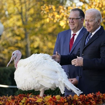 ABD Başkanı Biden, Şükran Günü için hazırlanmış iki hindiyi affetti - HABERLER